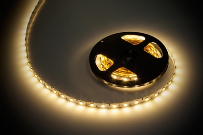 Picture of Tama LED Rebel Sznur diodowy 5m (300x5050 SMD) ciepy biay