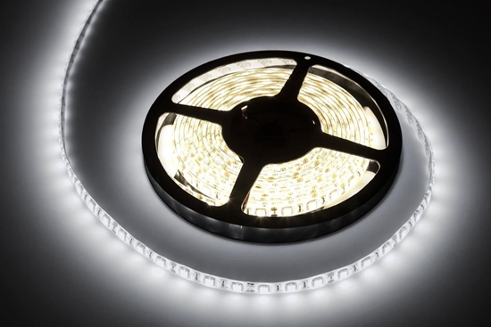 Picture of Tama LED Rebel Sznur diodowy 5m Rebel zimny biay wodoodporny (300x5050 SMD) 12V