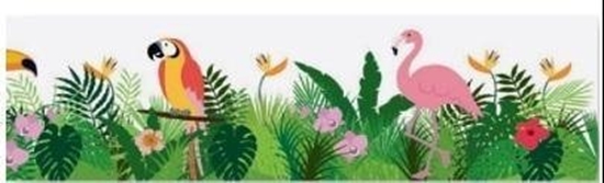 Picture of Tama na okno z klejem 2m Dungla