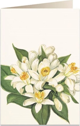 Изображение Tassotti Karnet B6 + koperta 5502 Kwiat pomaraczy