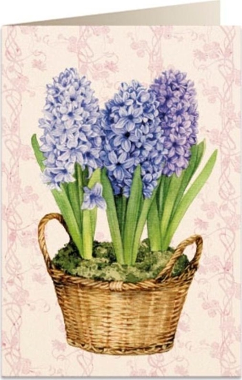 Изображение Tassotti Karnet B6 + koperta 5691 Hiacynty