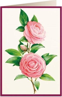 Picture of Tassotti Karnet B6 + koperta 5817 Kamelia 2