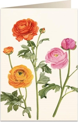 Изображение Tassotti Karnet B6 + koperta 5892 Jaskier