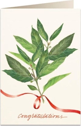 Изображение Tassotti Karnet B6 + koperta 5963 Gratulacje Licie