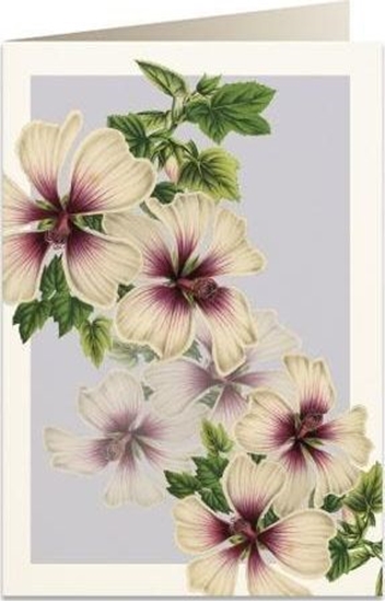 Изображение Tassotti Karnet B6 + koperta 5968 luzówka krzewiasta