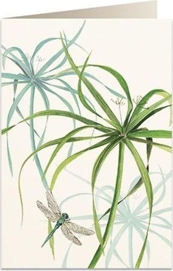 Изображение Tassotti Karnet B6 + koperta 6029 Waka