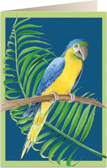 Изображение Tassotti Karnet B6 + koperta 6050 Papuga