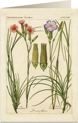 Изображение Tassotti Karnet B6 + koperta 6054 Godziki