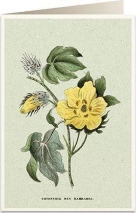 Изображение Tassotti Karnet B6 + koperta 6058 Bawena