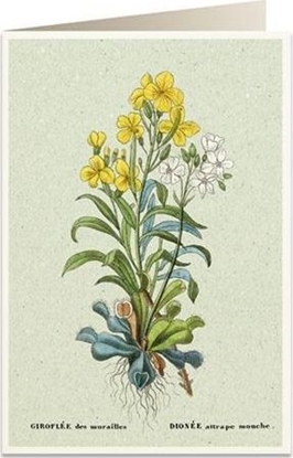 Изображение Tassotti Karnet B6 + koperta 6059 Muchoówka