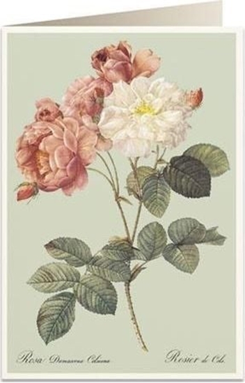 Picture of Tassotti Karnet B6 + koperta 6066 Kolorowe róe