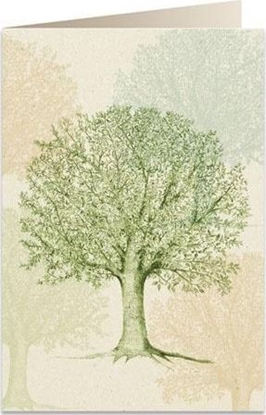 Изображение Tassotti Karnet B6 + koperta 6094 Wizowiec poudniowy