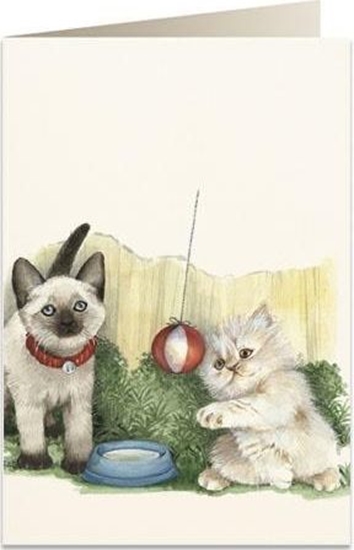 Изображение Tassotti Karnet B6 + koperta 7525 Biae kotki