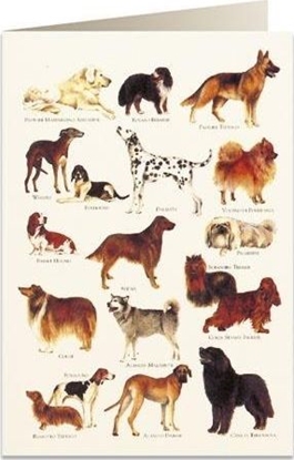 Изображение Tassotti Karnet B6 + koperta 8948 Psy 2