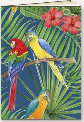 Picture of Tassotti Zeszyt ozdobny A5/48K linia Papugi