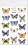 Picture of Tatuae zmywalne Motyle 2