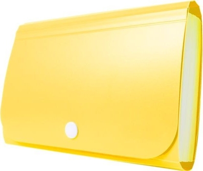 Picture of Teczka - Mini organizer harmonijkowy PP TETIS óty