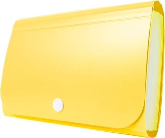 Picture of Teczka - Mini organizer harmonijkowy PP TETIS óty