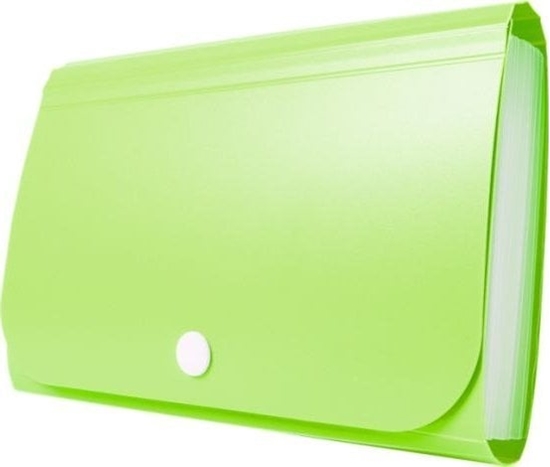 Picture of Teczka - Mini organizer harmonijkowy PP TETIS zielony