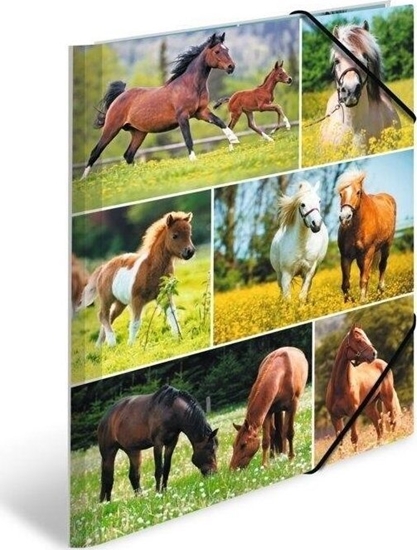 Picture of Teczka A4 gumki narone - Konie na ce