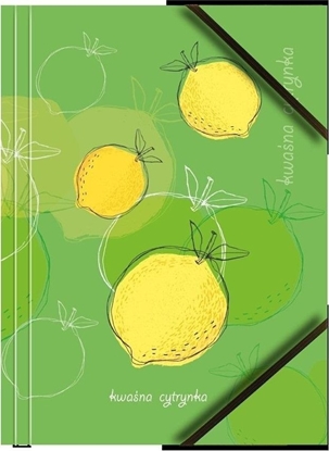 Picture of Teczka A4 kartonowa z gumk naron cytryna (6szt)