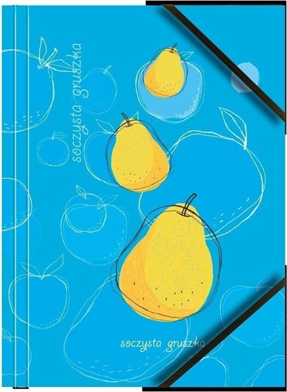 Picture of Teczka A4 kartonowa z gumk naron gruszka (6szt)