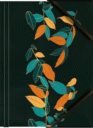 Picture of Teczka A4 kartonowa z gumk naron licie (6szt)