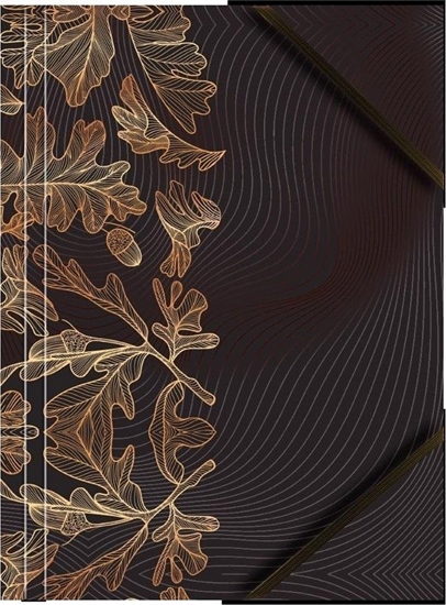 Picture of Teczka A4 kartonowa z gumk naron licie (6szt)