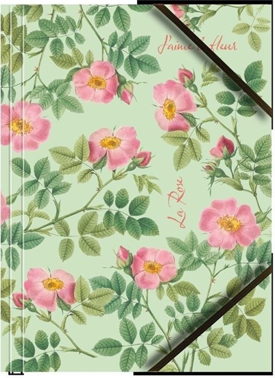 Picture of Teczka A4 kartonowa z gumk naron róe (6szt)