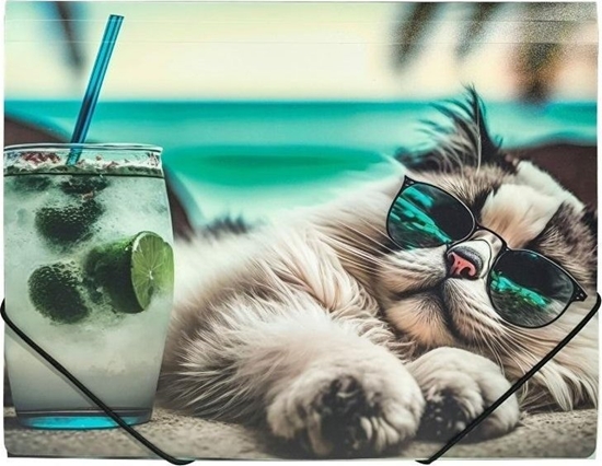 Picture of Teczka A4 PP na gumk z nadrukiem Chillout Cat