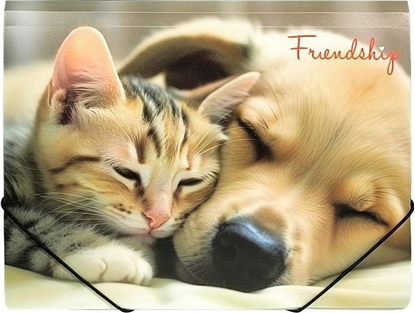 Picture of Teczka A4 PP na gumk z nadrukiem Friendship