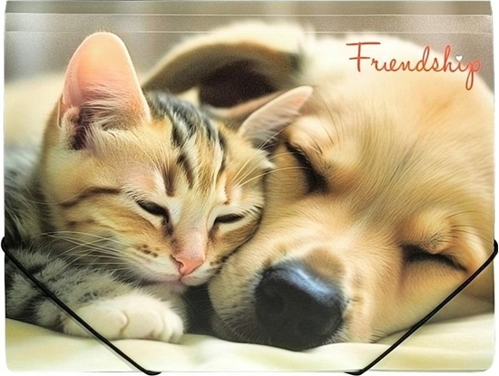 Picture of Teczka A4 PP na gumk z nadrukiem Friendship