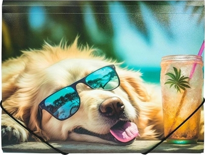 Picture of Teczka A4 PP z nadrukiem Chillout Dog