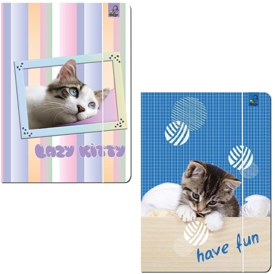 Picture of Teczka A4 z gumk Best Friend Koty