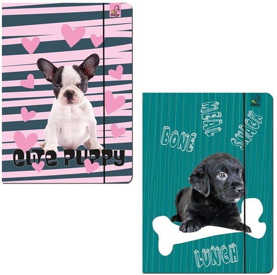 Picture of Teczka A4 z gumk Best Friend Psy