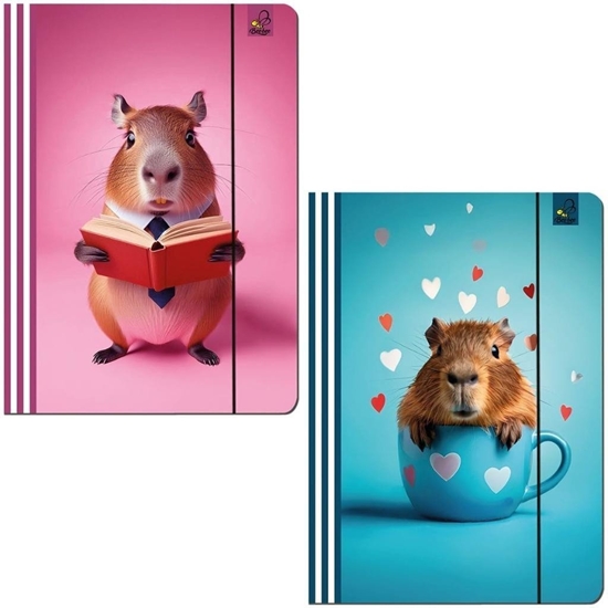 Picture of Teczka A4 z gumk Kapibara mix