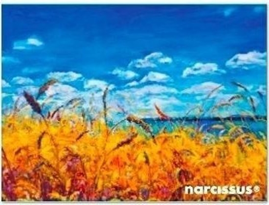 Picture of Teczka kopertowa PP A7 Niebo