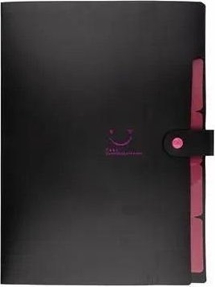 Picture of Teczka plastikowa A4 z 5 przegródkami czarna