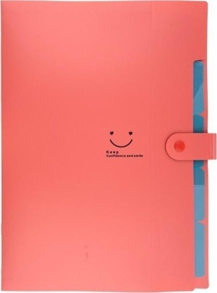 Picture of Teczka plastikowa A4 z 5 przegródkami czerwona