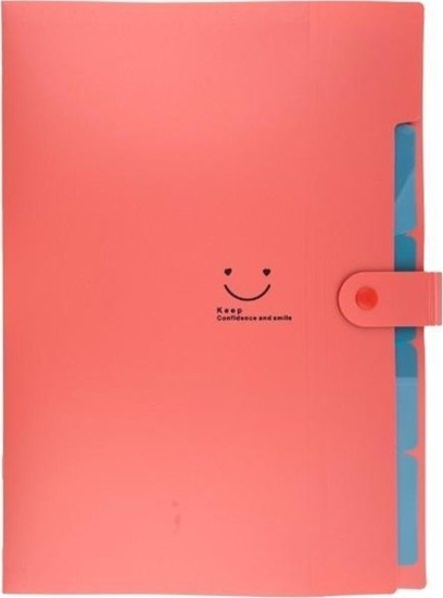 Picture of Teczka plastikowa A4 z 5 przegródkami czerwona