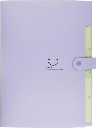 Picture of Teczka plastikowa A4 z 5 przegródkami fioletowa