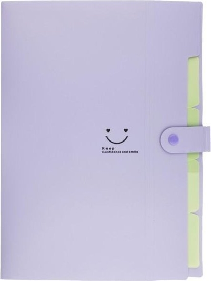 Picture of Teczka plastikowa A4 z 5 przegródkami fioletowa