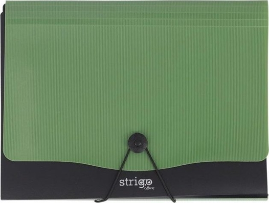 Picture of Teczka PP A4 13 przekadek STRIGO VFILE ciemnozielona