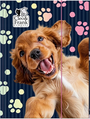 Picture of TECZKA Z GUMKA PAP A4 CLEO I FRANK 44 DERF 1/10