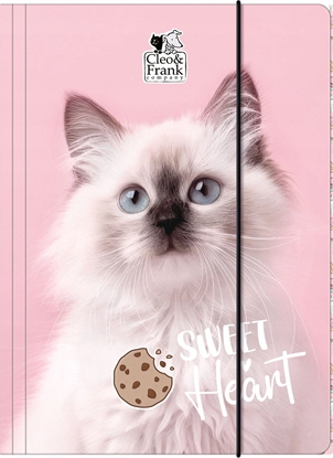 Picture of TECZKA Z GUMKA PAP A4 CLEO I FRANK 45 DERF 1/10