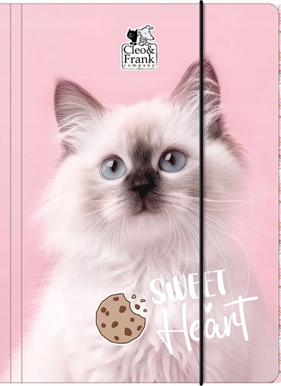 Picture of TECZKA Z GUMKA PAP A4 CLEO I FRANK 45 DERF 1/10