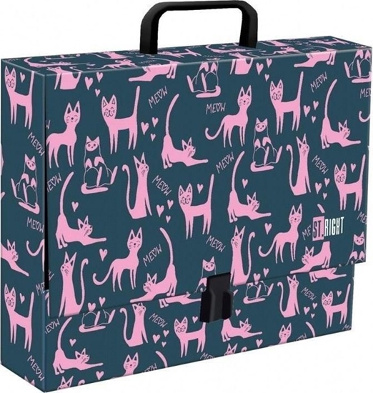 Picture of Teczka z rczk A4 XL Lazy Cats