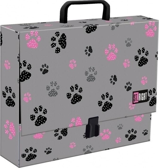 Picture of Teczka z rczk A4 XL Paws