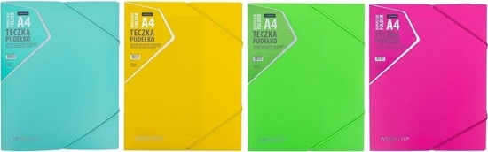 Picture of Teczka-pudeko z gumk PP neon mix ASTRA