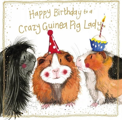 Picture of Teka Karnet Urodziny S563 Szalone ¶winki morskie